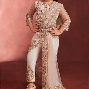 Ethnic pant style saree